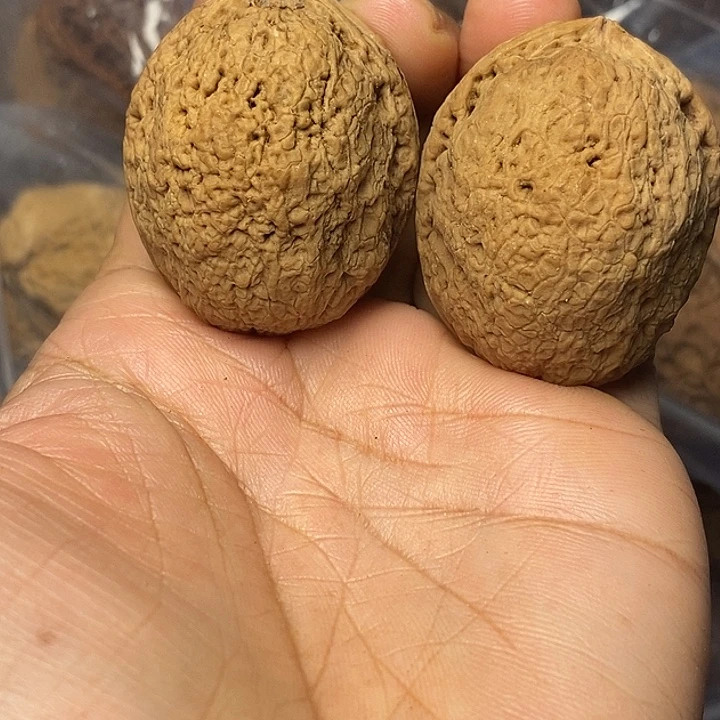 文玩核桃把件云南铁核桃4