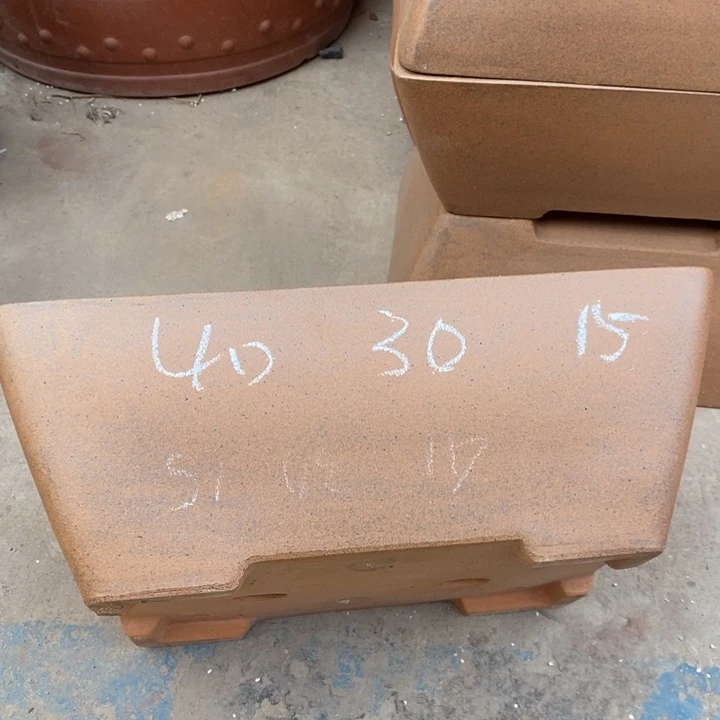 花盆紫砂只顾看电视