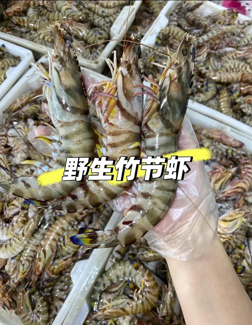 广东汕尾本港野生班节虾