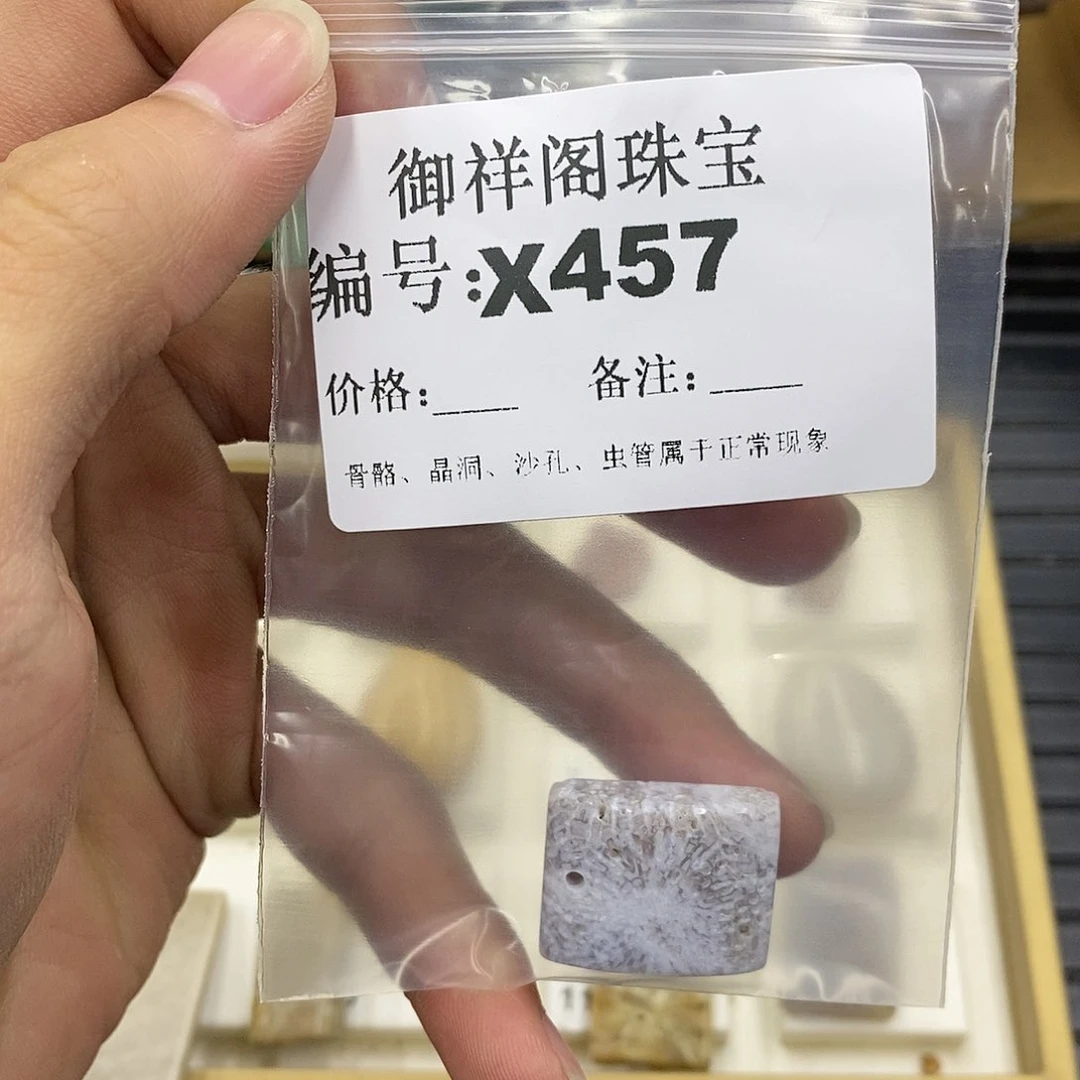 硅化珊瑚（珊瑚玉）未镶嵌颈饰崽***大
