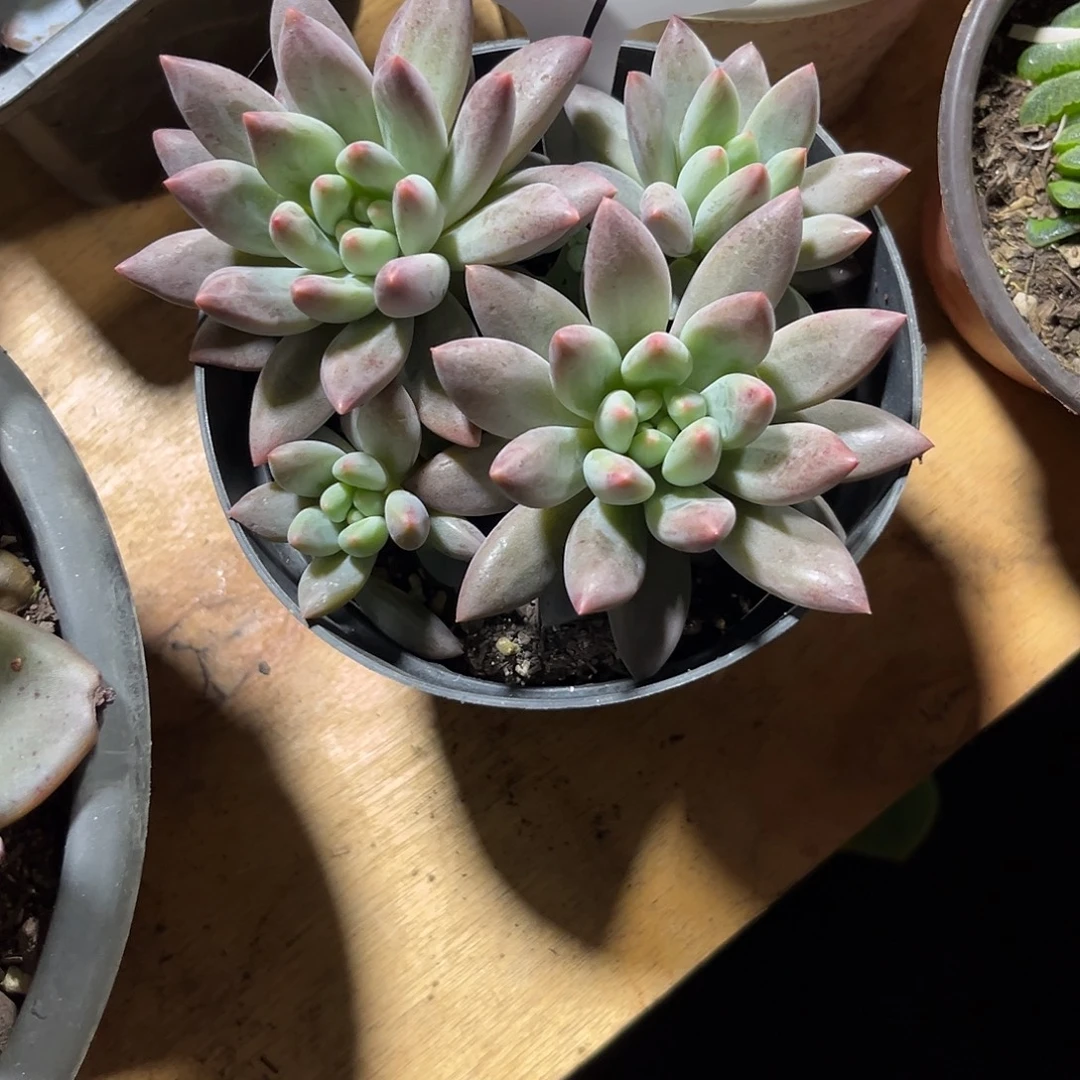 美****000000000000000000147