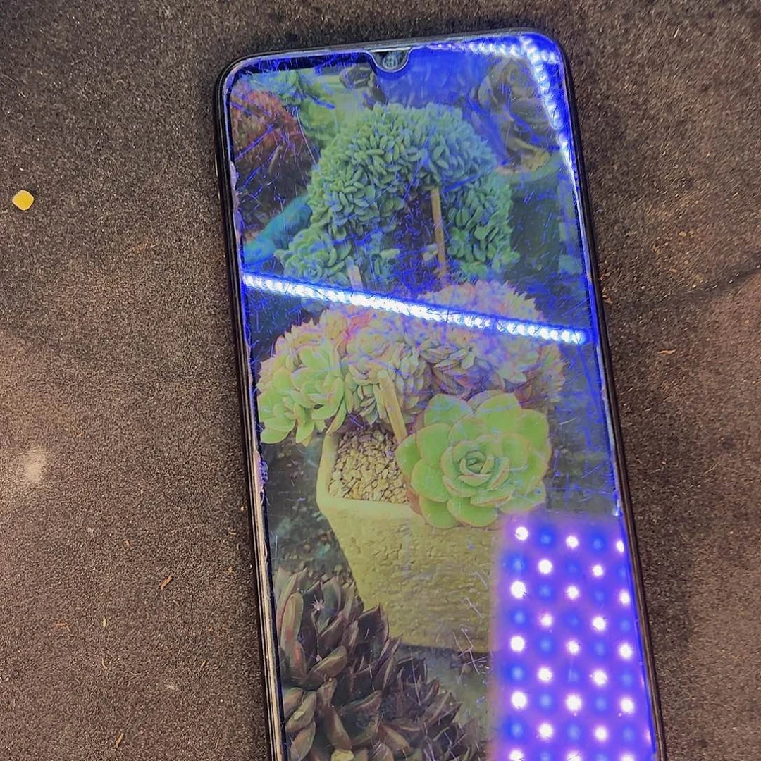 多肉植物保护研究所