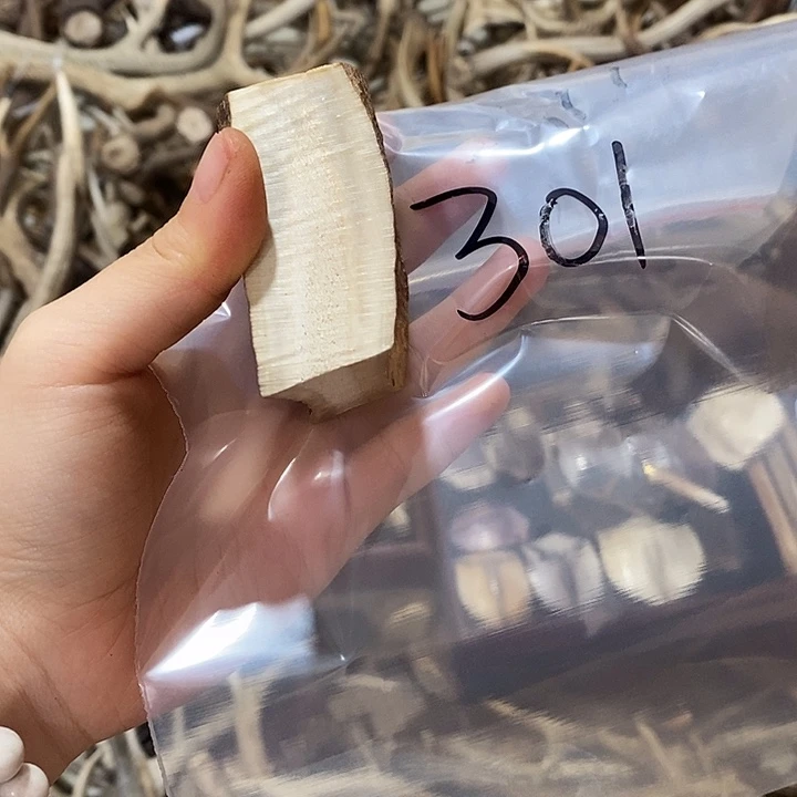 一***子鹿角鹿角鹿角鹿角