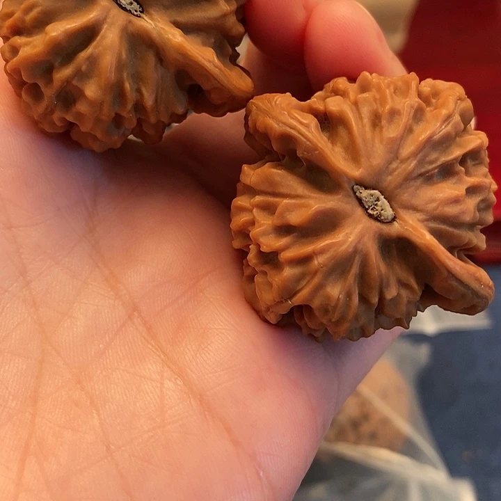 【闪购商品】文玩核桃吊坠扬**授龙津