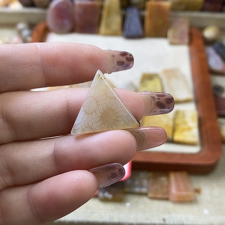 硅化珊瑚（珊瑚玉）未镶嵌颈饰