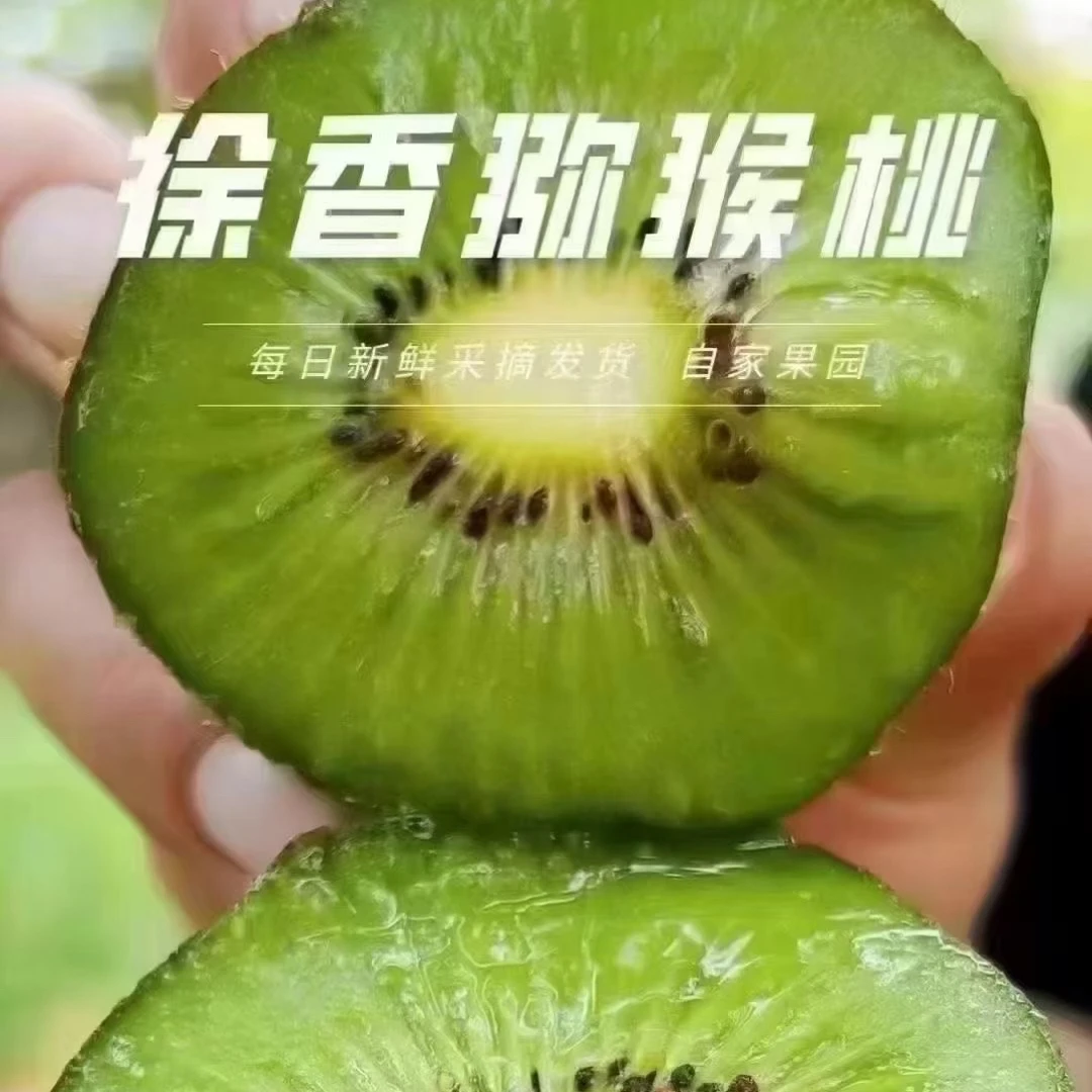 徐香猕猴桃-礼盒装