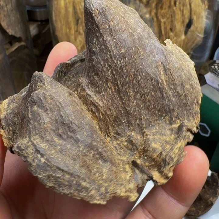 沉香碎屑沉香海南淳化壳子