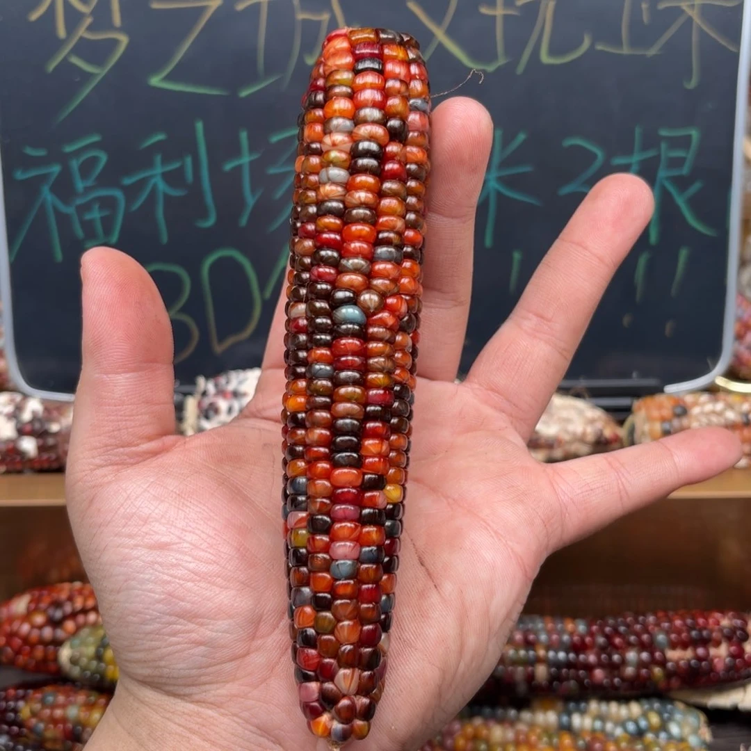 柏香籽/百香籽吊坠陈*