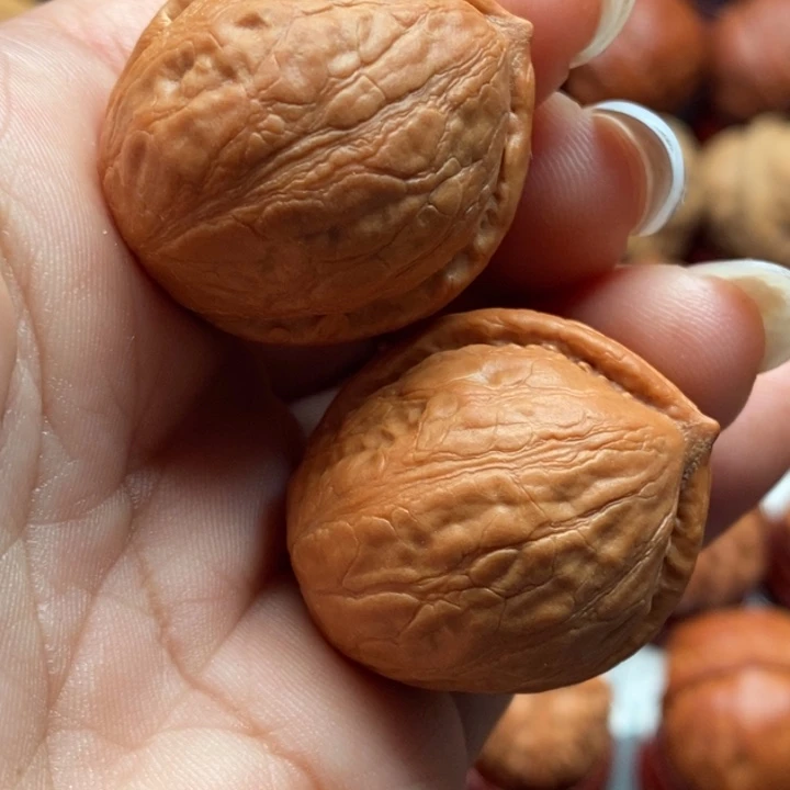 核桃精品文玩核桃手捻龙胆