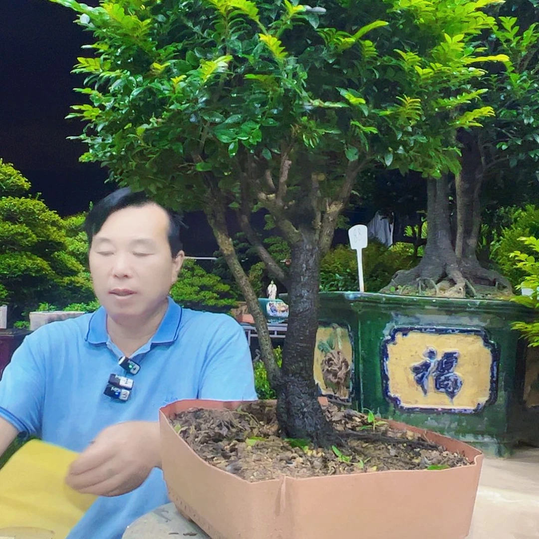 无花朵用****1秀明园艺秀明园艺