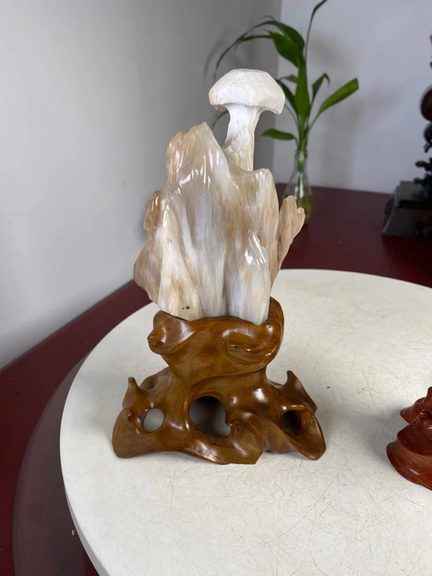 家居摆件 树化玉 奇石摆件 02