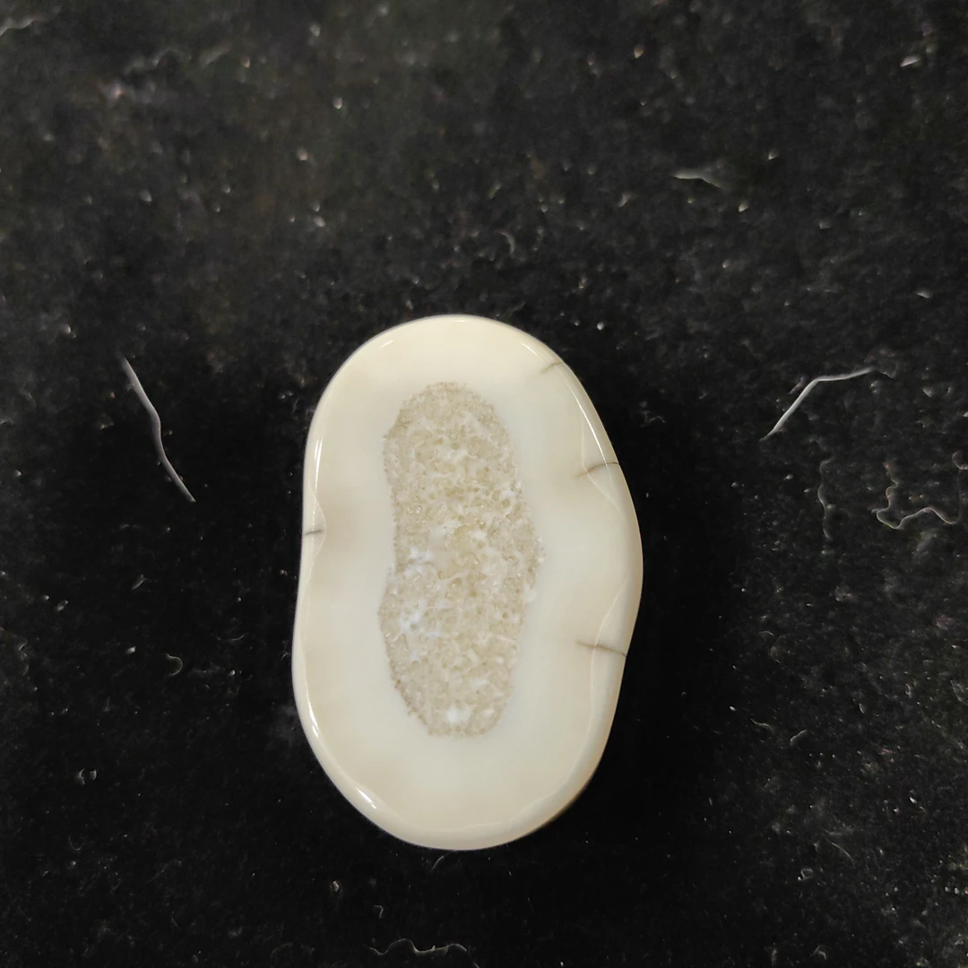 猛犸猛犸虬饼子WT353