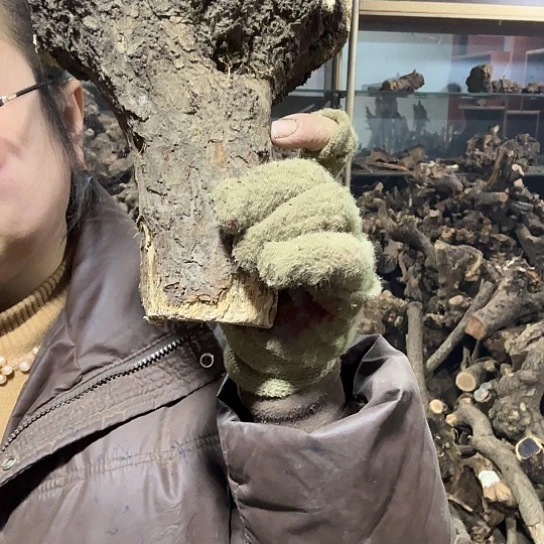 香榧木郝*胖火琉璃的故事毛料摆件