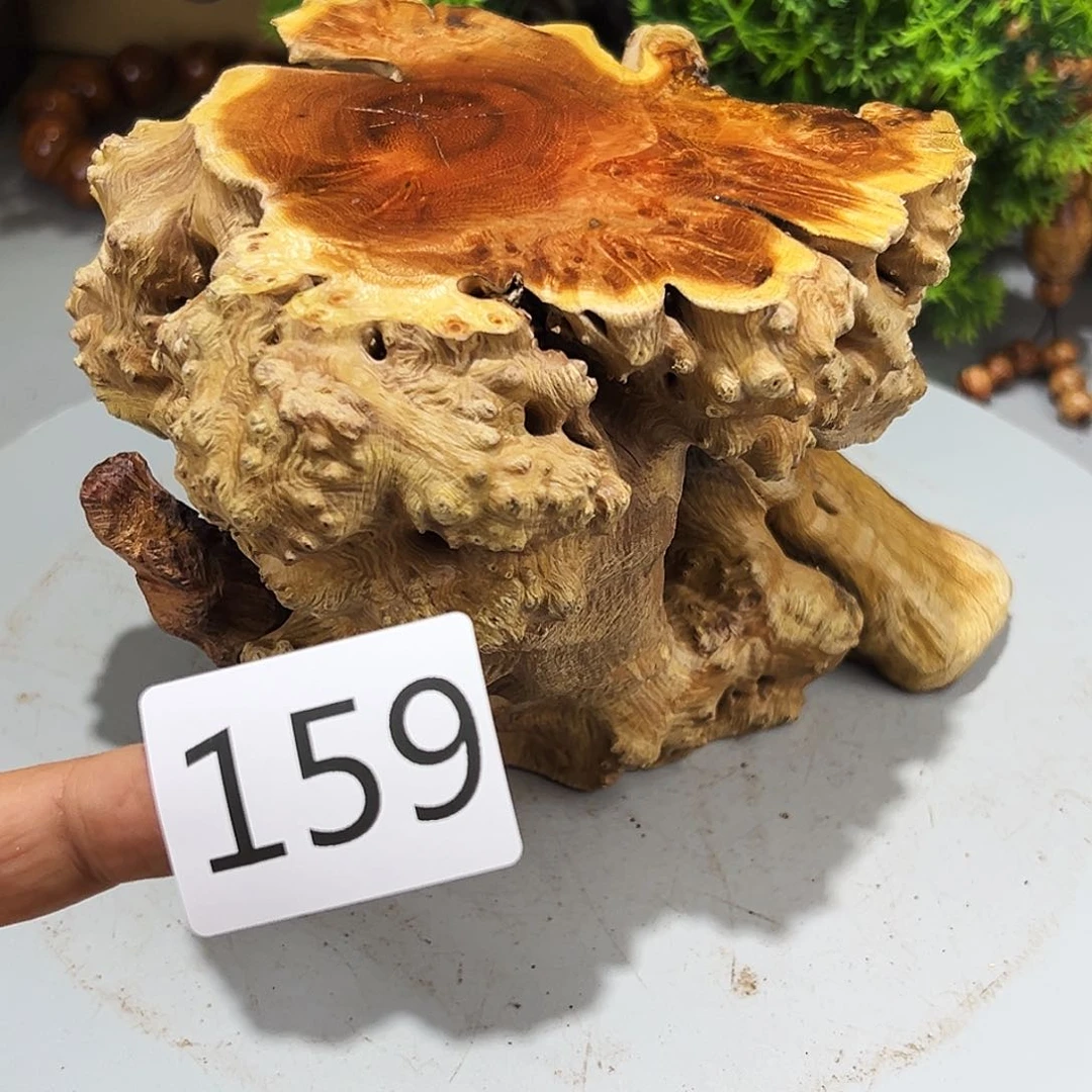 香榧木小*曲火琉璃～