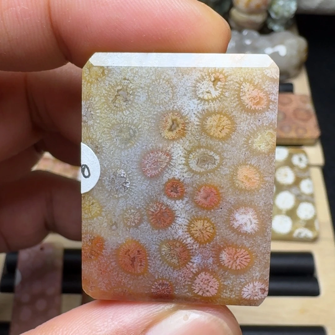 硅化玉未镶嵌纯天然色有机玉石保真色