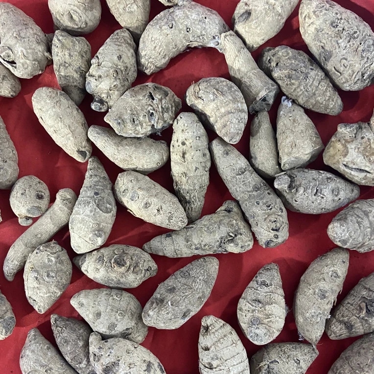 线香 雪三Q  香气十足