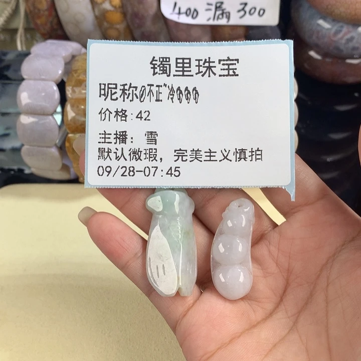 *****硅化珊瑚（珊瑚玉）未镶嵌吊坠(赠链)