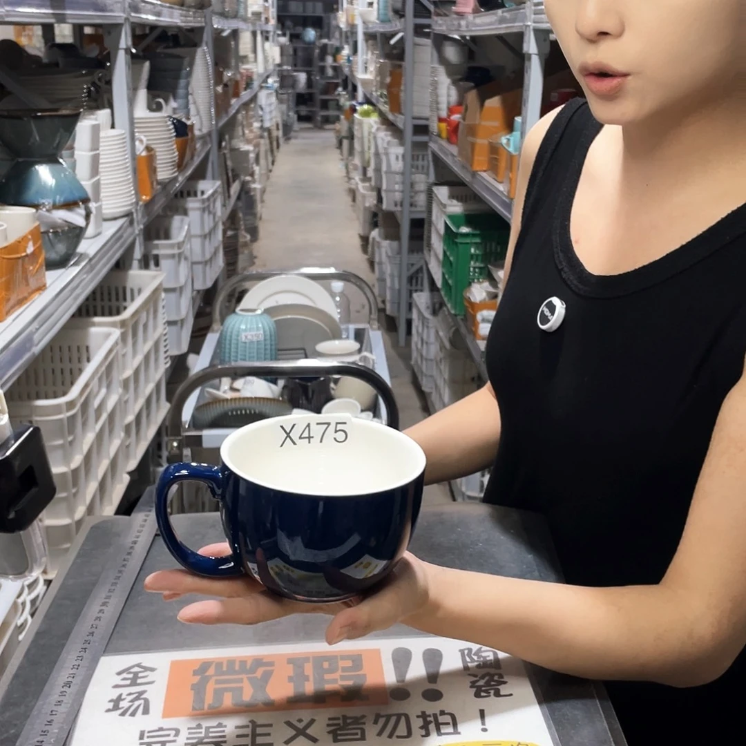 瓷片475            2个