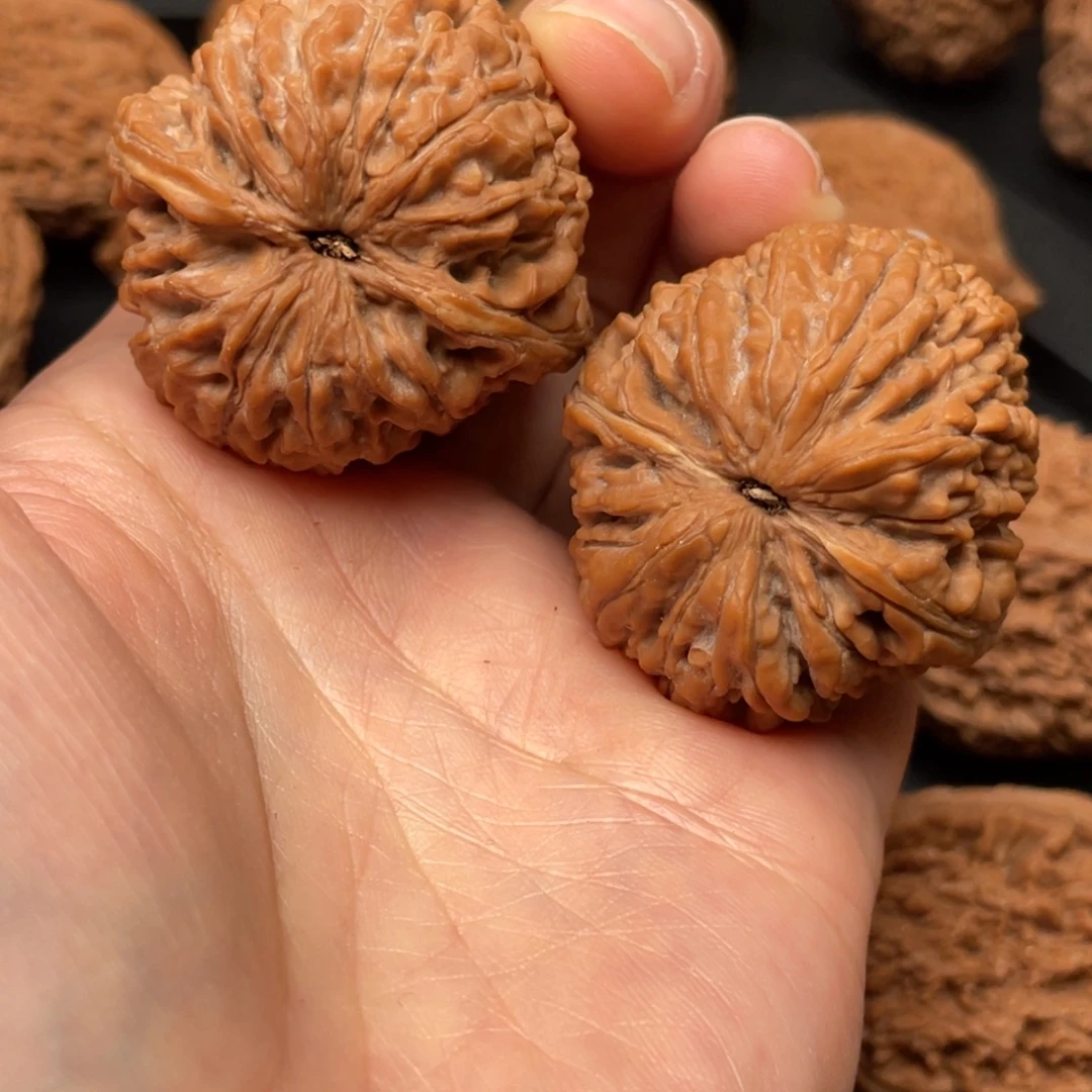 哲***人文玩核桃吊坠大蒜头37尺