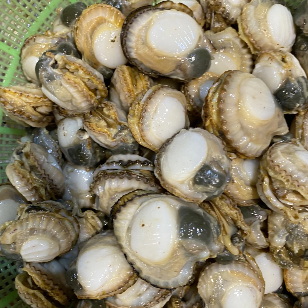 港湾贝扇贝肉 肉质鲜甜 嫩鲜