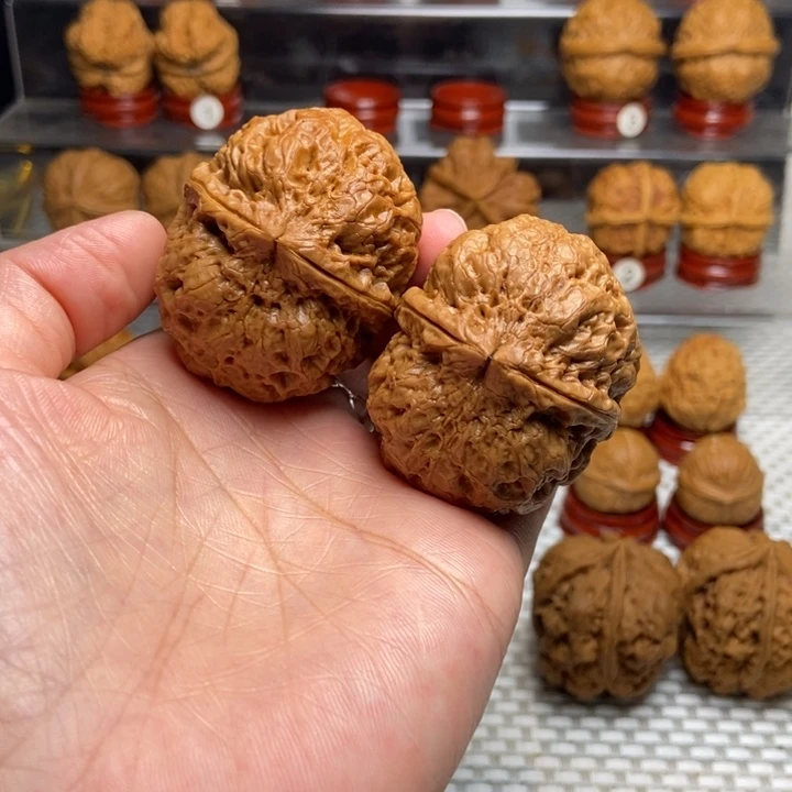 ꧁***꧂文玩核桃把件1霸王龙