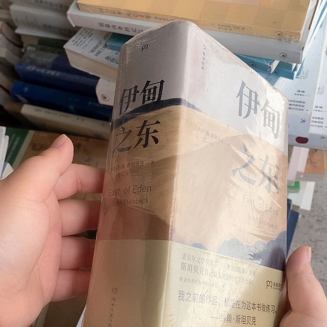 伊甸之东  库存数……