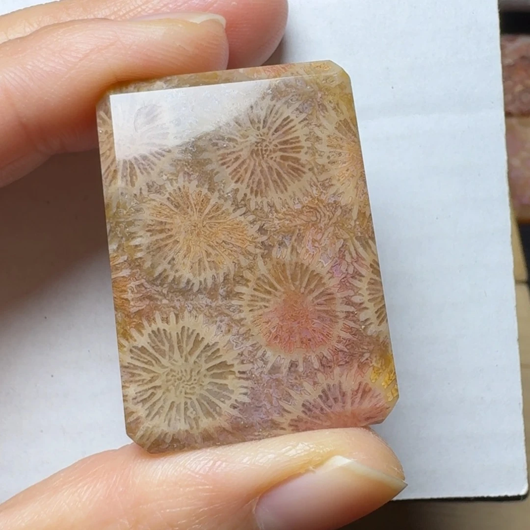 硅化玉玉透彩大花，盘盘未镶嵌