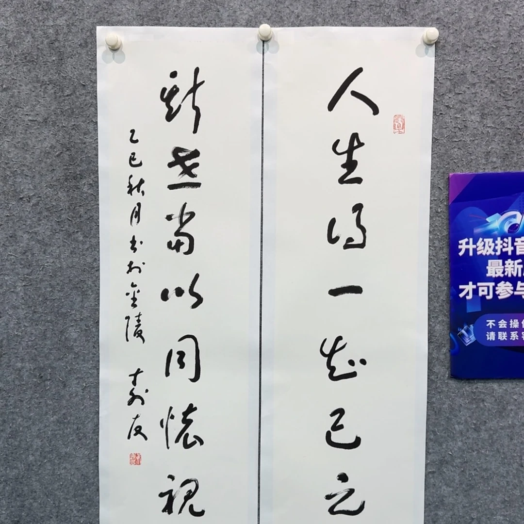 书法书法作品ZSY老师