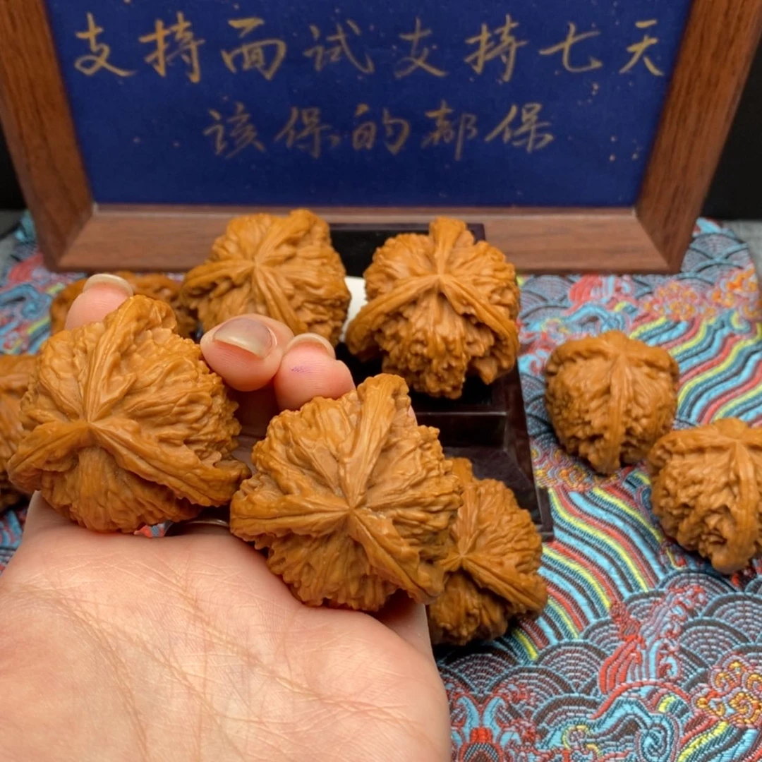 【闪购商品】刚**车白狮