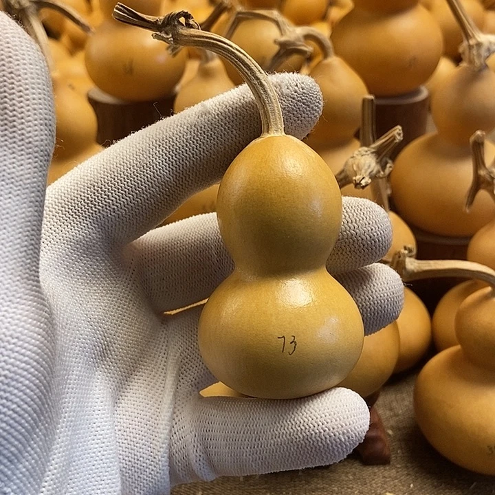 文玩葫芦 完美主义者 慎拍73