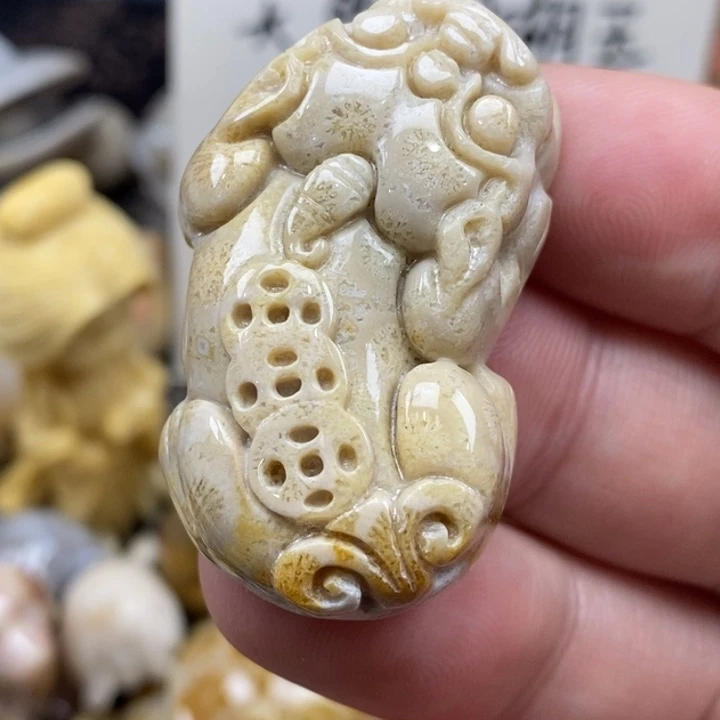 硅化珊瑚（珊瑚玉）未镶嵌颈饰