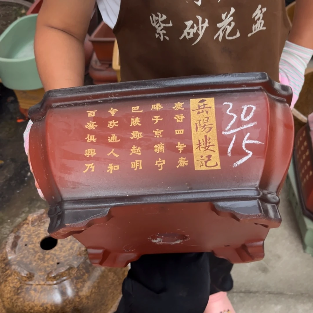 紫砂花盆盆景艺术