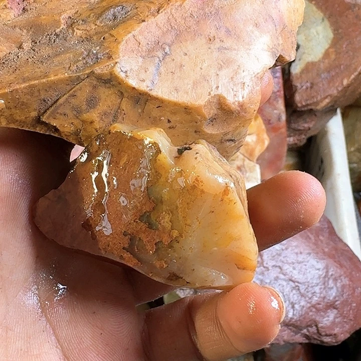 寿山石憨***香寿山石的故事