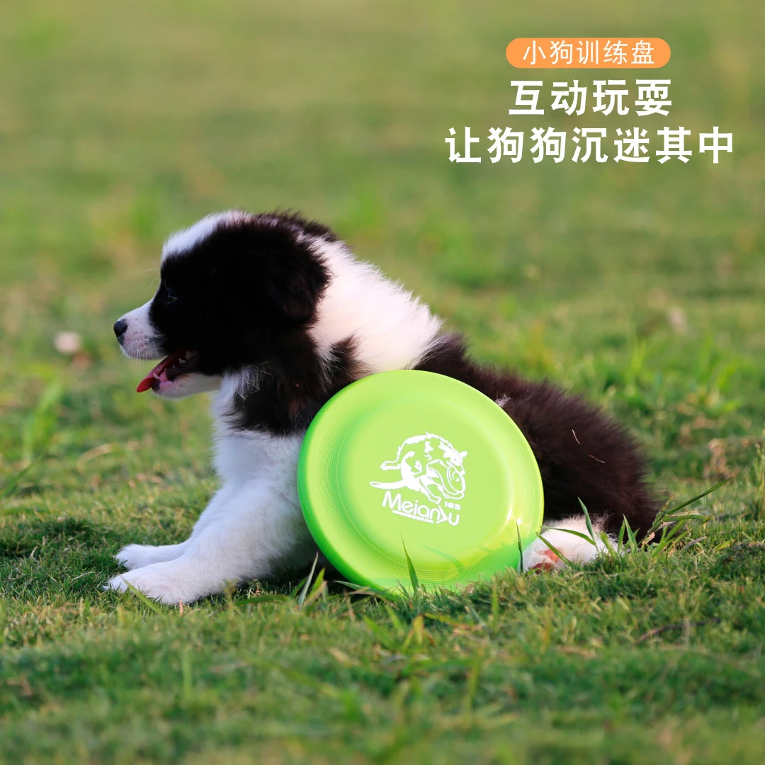 新款小狗盘185mm狗狗玩具训练飞盘衔接互动玩具小型狗幼犬适用