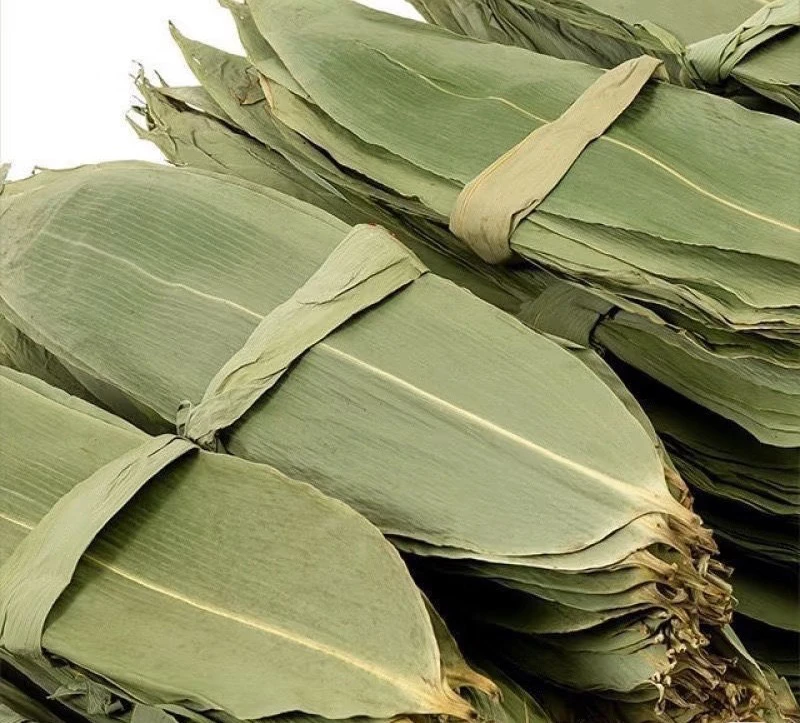 干粽叶大宽叶家用端午节包粽子专用自然生长竹叶