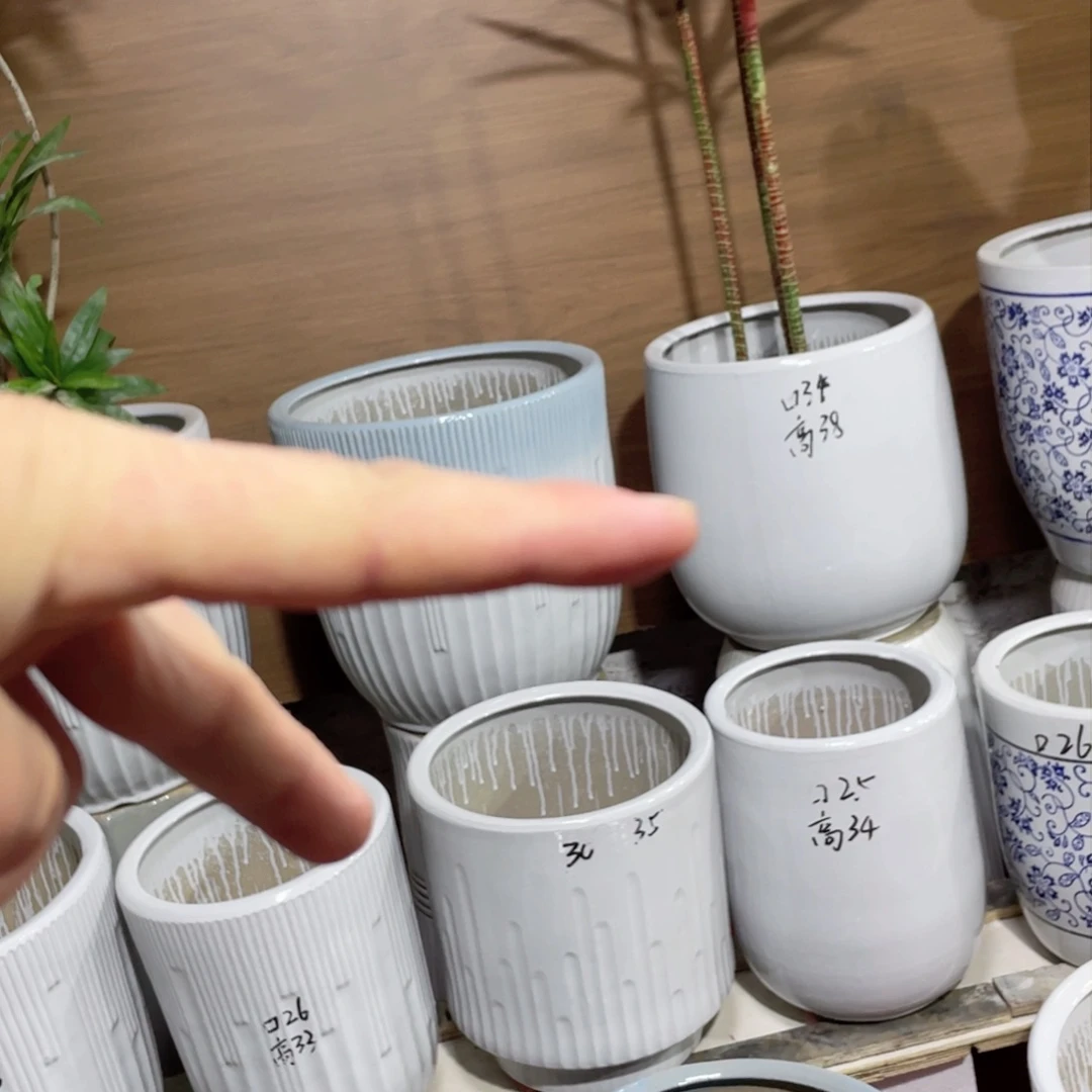 龙蛋款特大号送1号中号