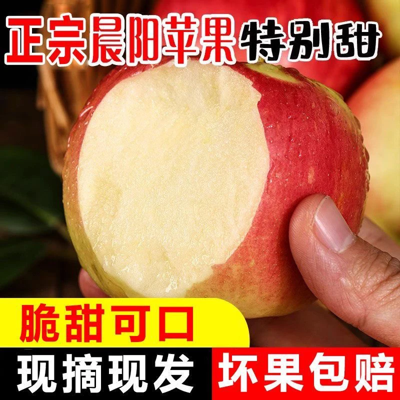 新鲜应季脆甜多汁嘎啦苹果产地直采整箱包邮