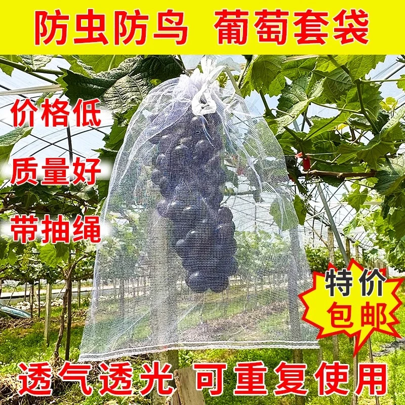 水果网套袋防鸟虫专用葡萄无花果等瓜果保护袋