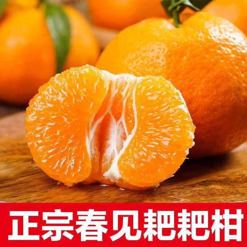 【彩箱】正宗春见耙耙柑现摘薄皮耙耙柑新鲜水果