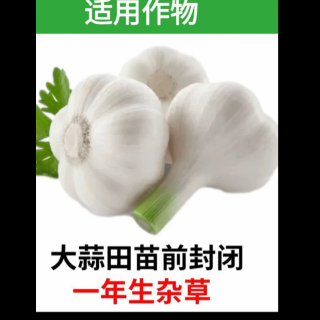 大蒜苗前封闭除草方案一瓶一亩地配两桶水