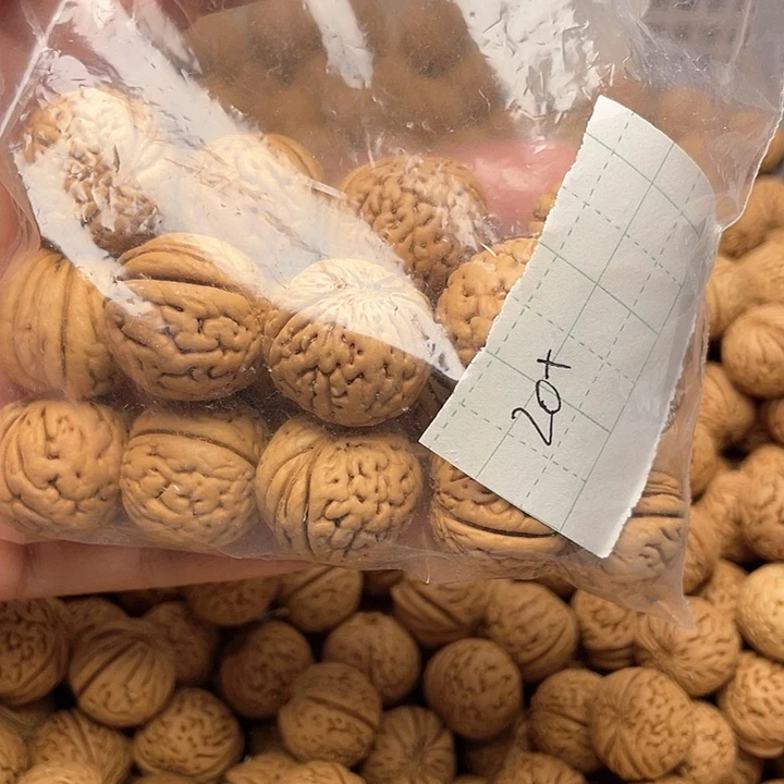 桃核手串邮**来核桃手串20➕