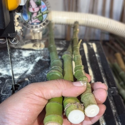 沙***雕实心竹竹竹竹竹竹竹竹竹