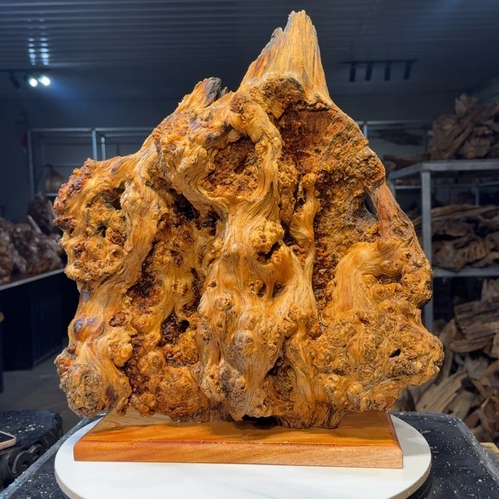 木欢*匪王一刀琥珀木82