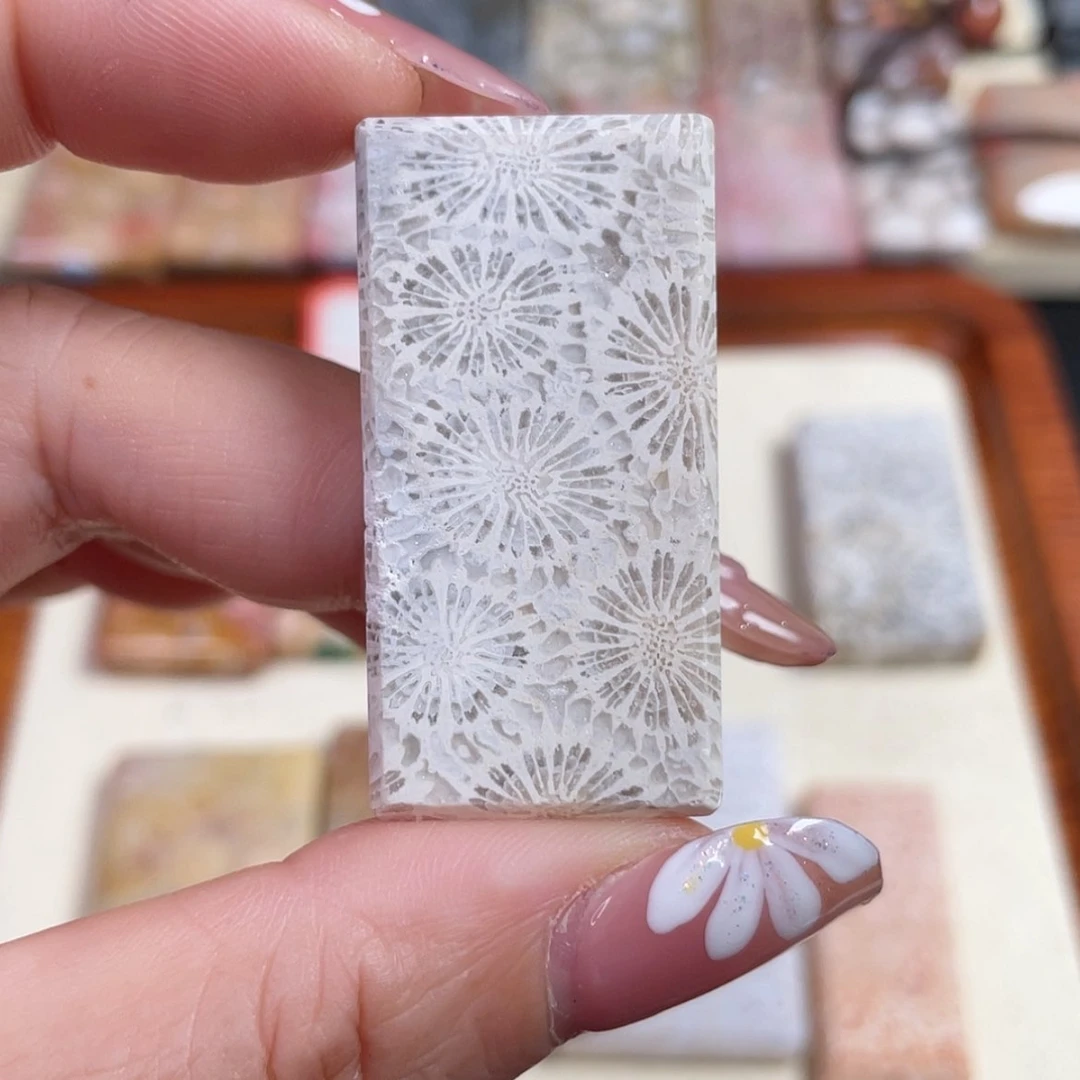 【闪购商品】硅化玉吊坠(赠链)未镶嵌小***?