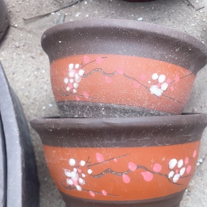 紫砂琴*哈哈哈哈哈哈角a6