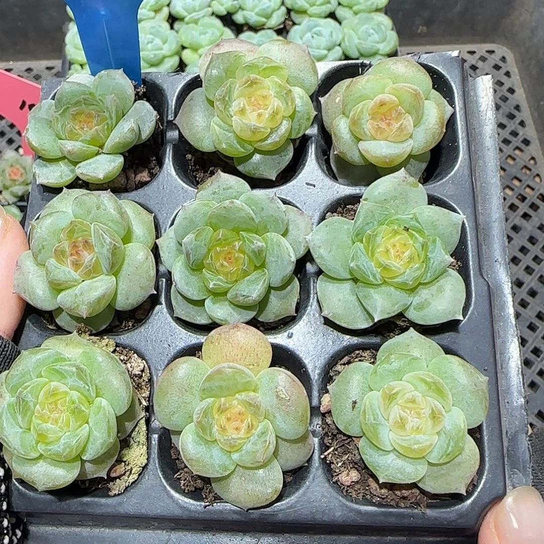 120哈哈哈哈哈哈哈哈