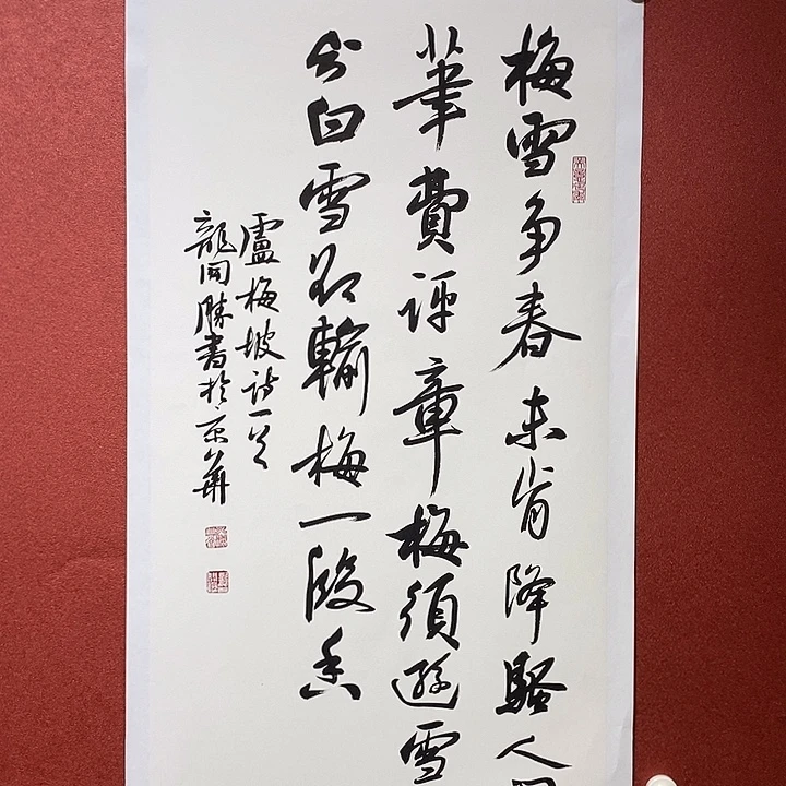 书法梅雪直播大漏