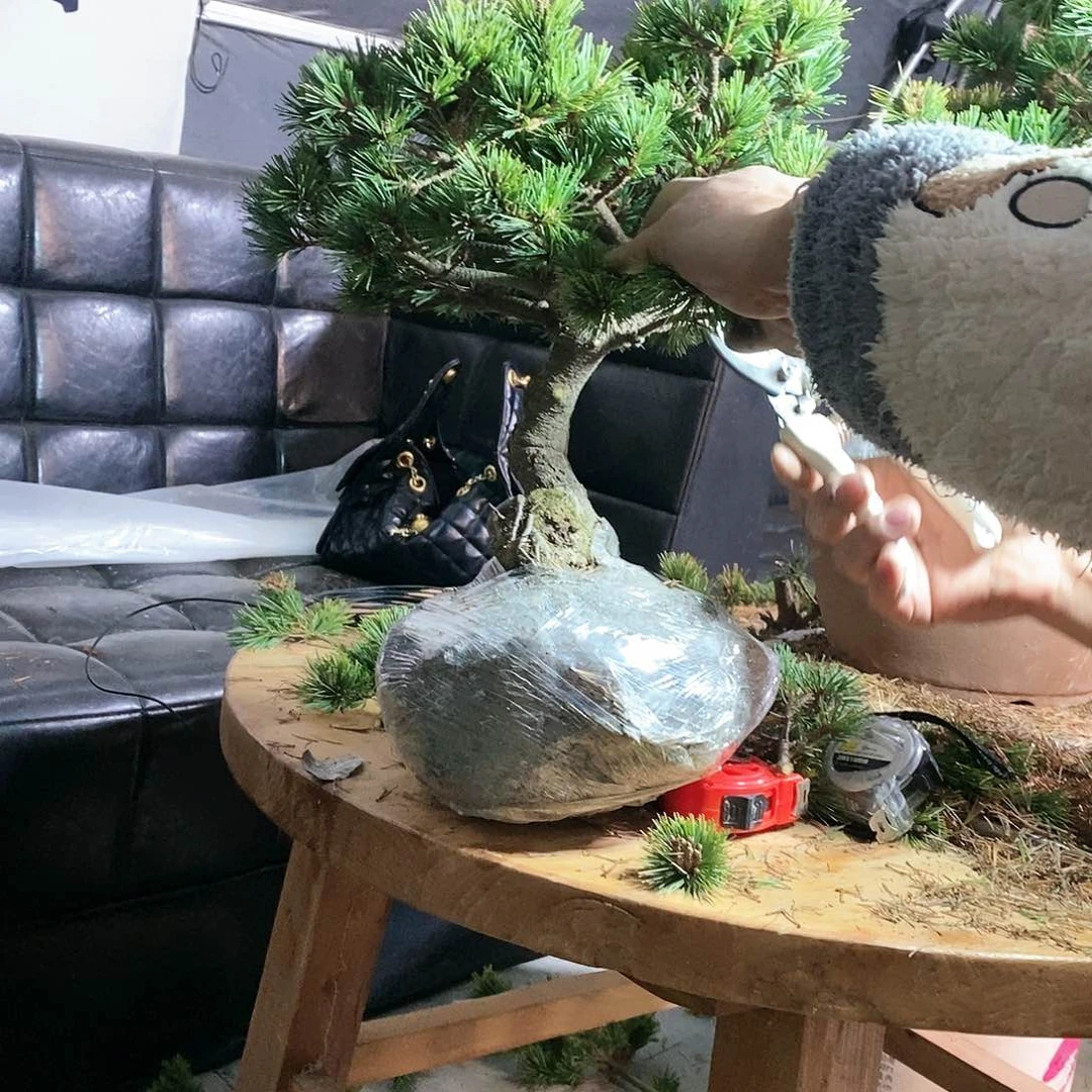 【闪购商品】无花朵心*