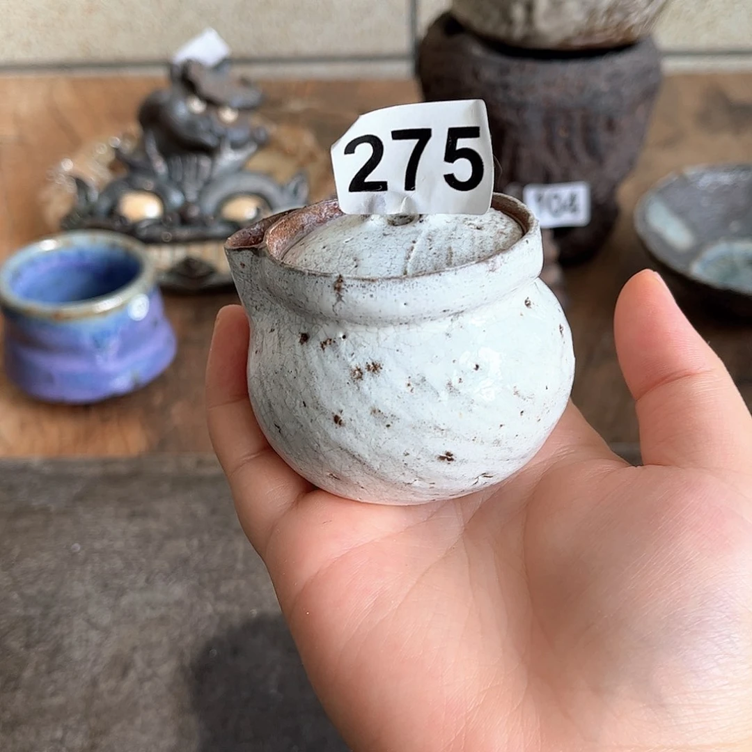 菩***心粉引宝瓶一一一275