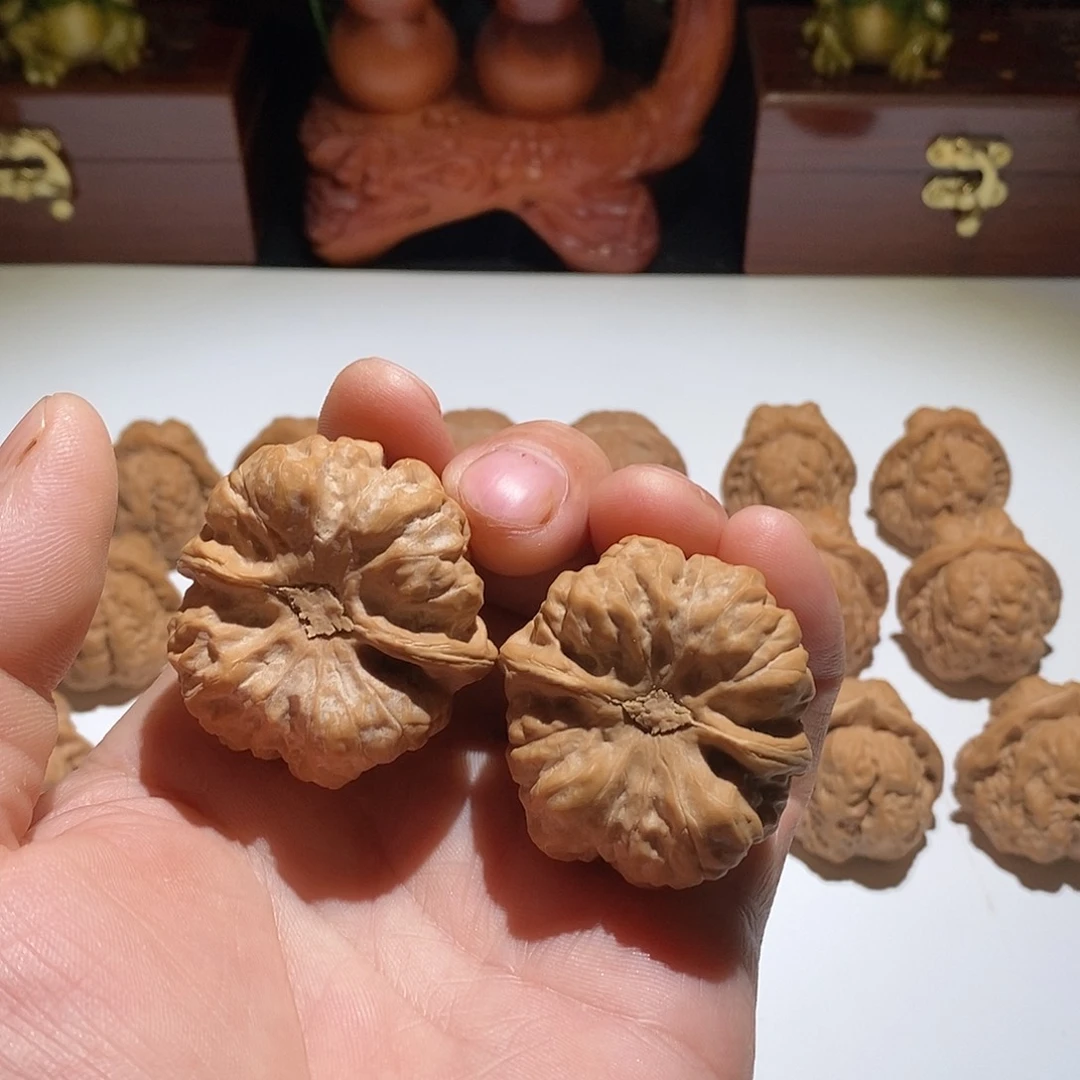 向***葵把件文玩核桃昌平蛙直播中欢迎选购
